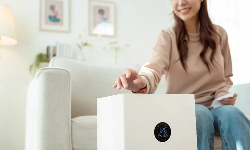 Dust and Allergen Air Purifiers for Allergy Season: What Changes When Pollen Peaks